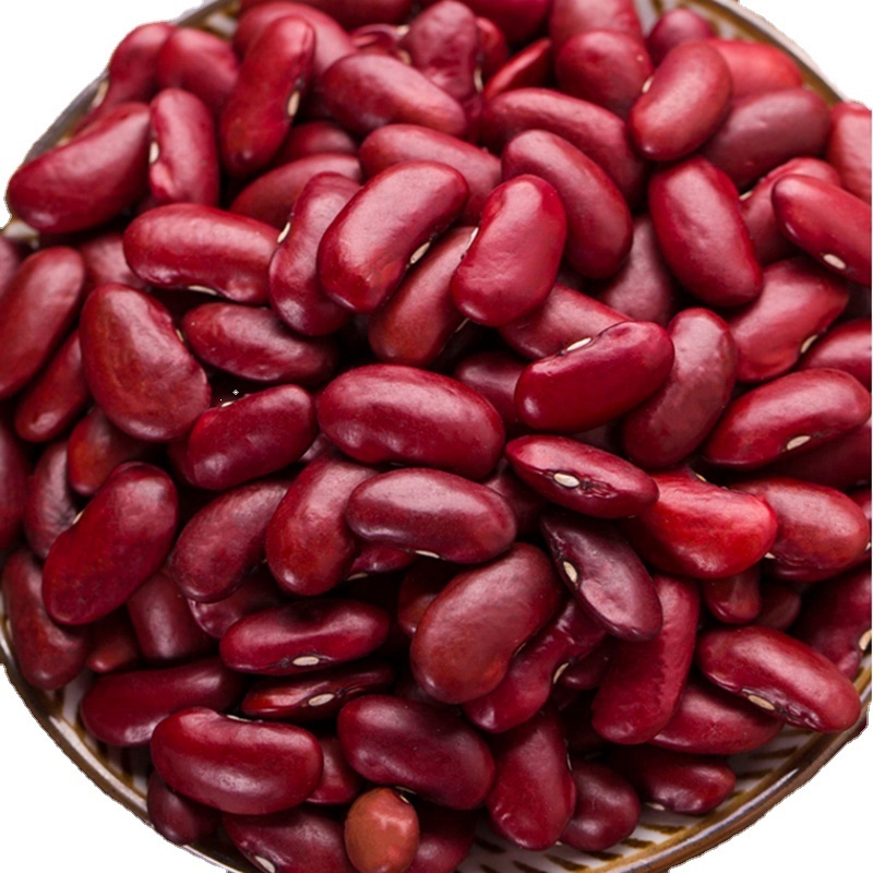 Wholesale red kidney beans buyer organic red kidney beans red bean