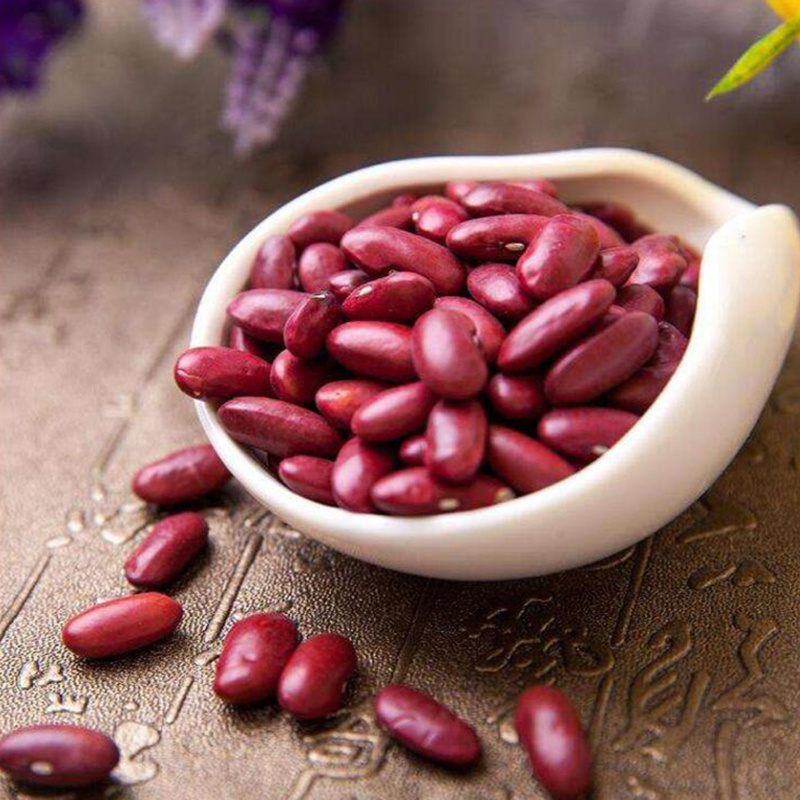 Wholesale red kidney beans buyer organic red kidney beans red bean