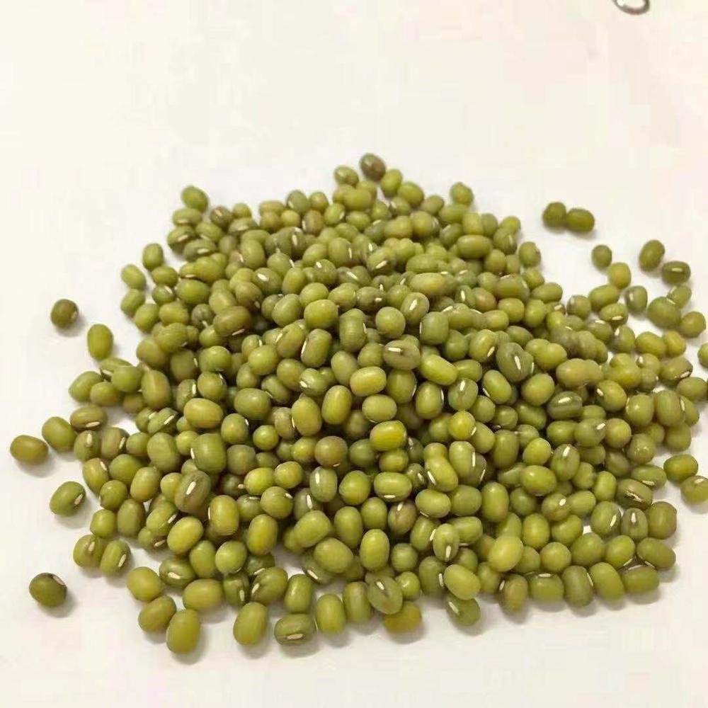 Wholesale Splits Green Mung Beans