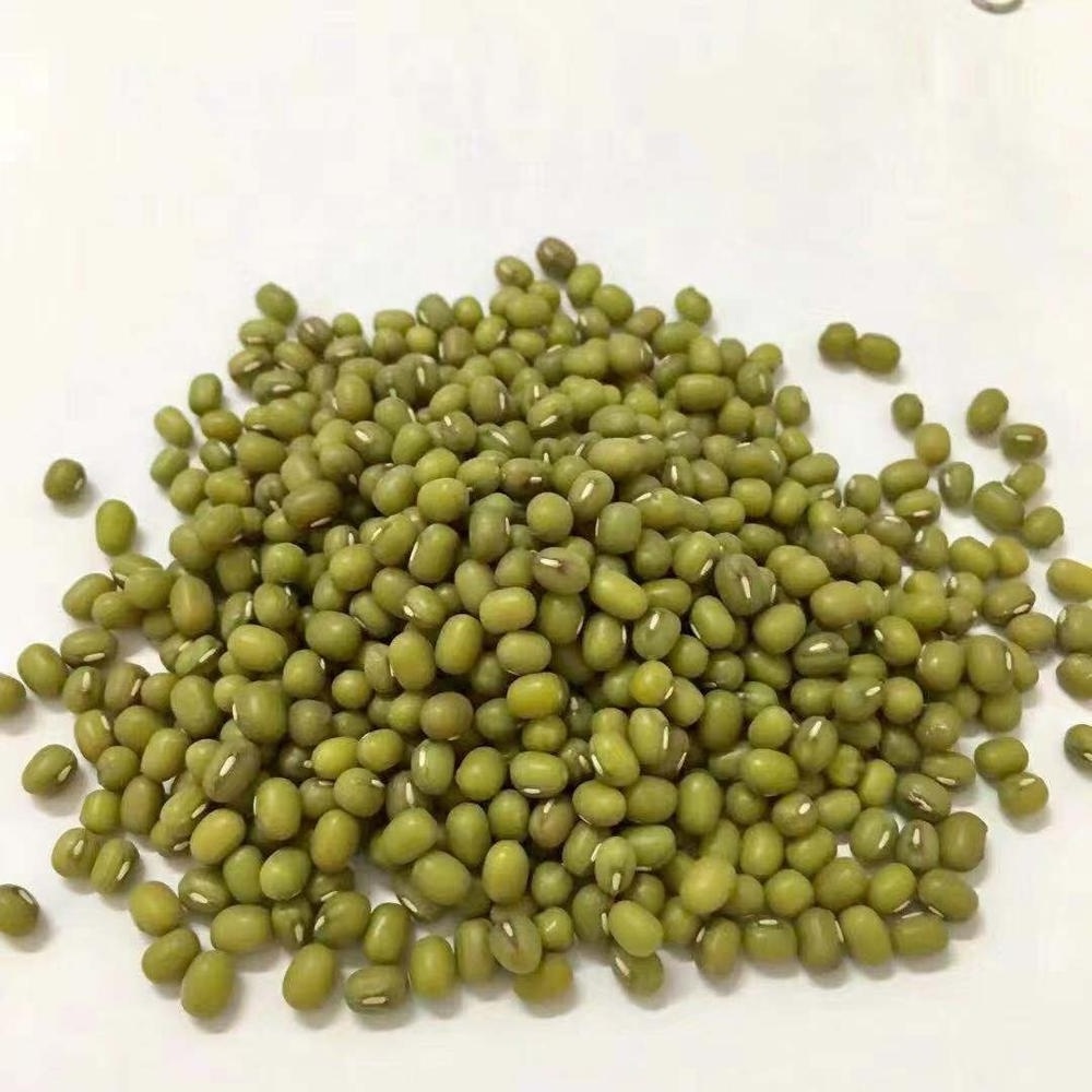 Wholesale Splits Green Mung Beans