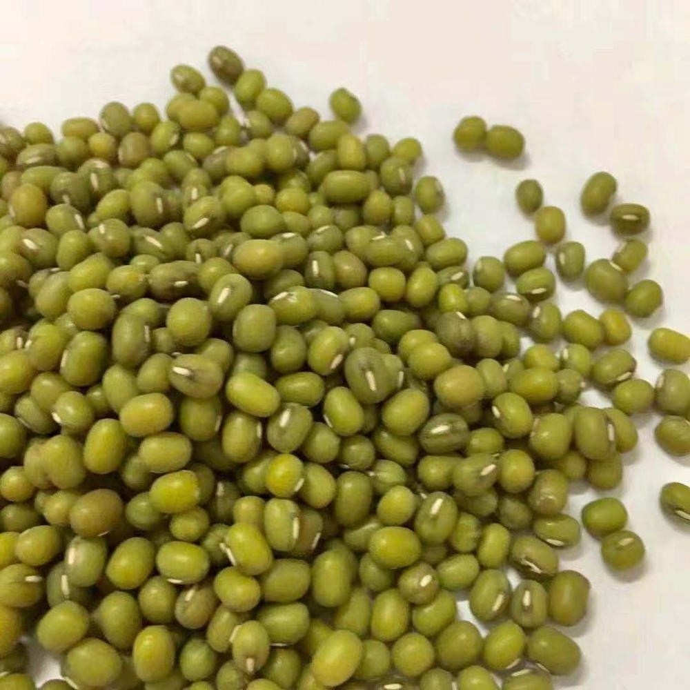 Wholesale Splits Green Mung Beans