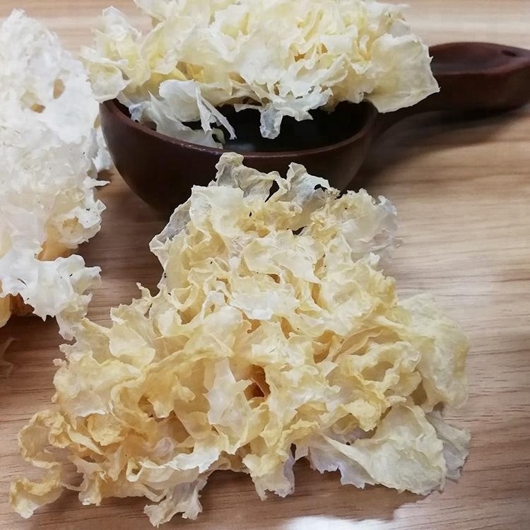 Natural snow white fungus dried tremella mushroom tremella fuciformis