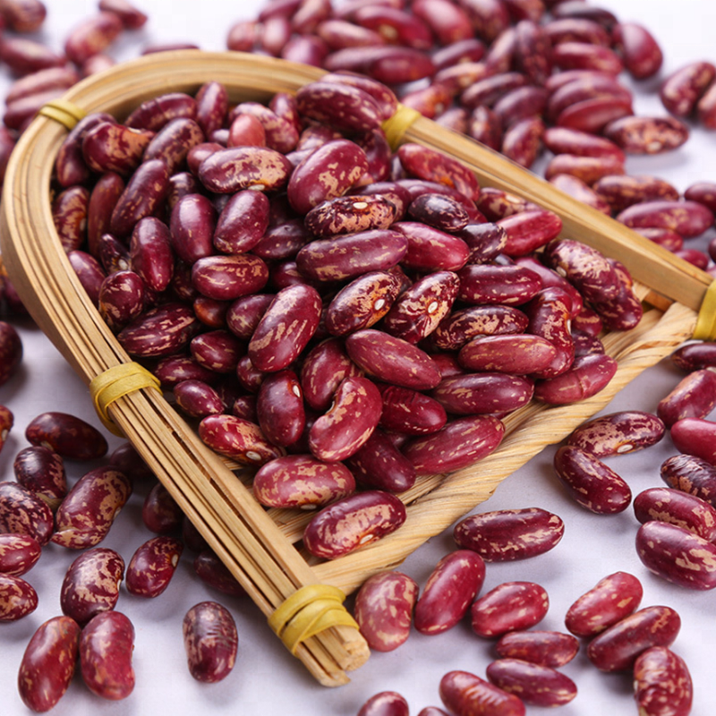 Wholesale Pinto Bean Red Speckled Kidney Beans for Sale