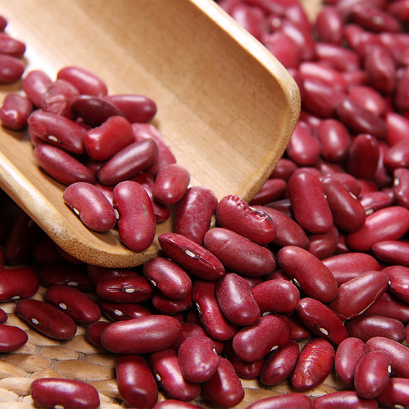 Wholesale red kidney beans buyer organic red kidney beans red bean