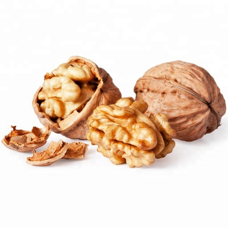 Walnuts in Shell Vacuum Packaged 25 Weight (kg) Walnut Price China