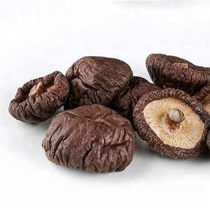 China bulk dried shiitake mushroom black shiitake mushroom