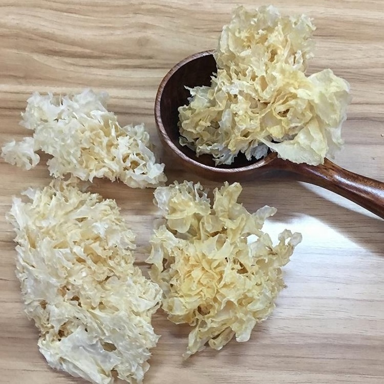 Natural snow white fungus dried tremella mushroom tremella fuciformis