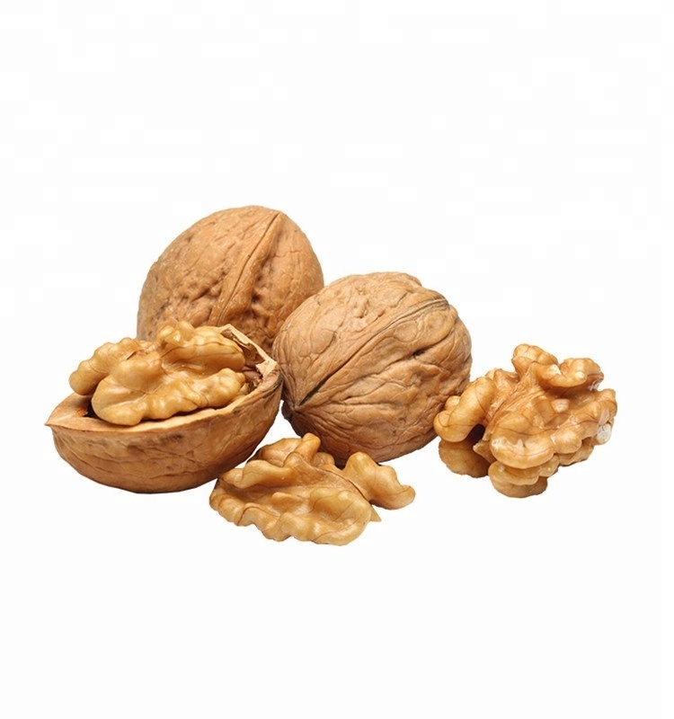 Walnuts in Shell Vacuum Packaged 25 Weight (kg) Walnut Price China