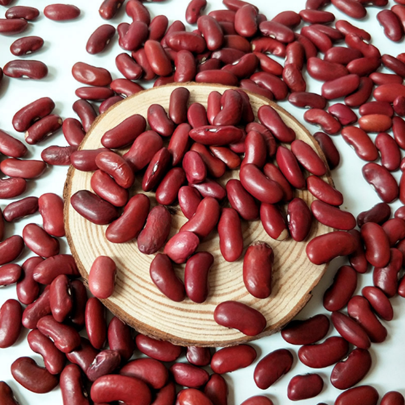 AD Drying Process and Kidney Beans Product Type Red Kidney Beans