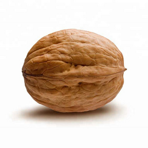 Walnuts in Shell Vacuum Packaged 25 Weight (kg) Walnut Price China