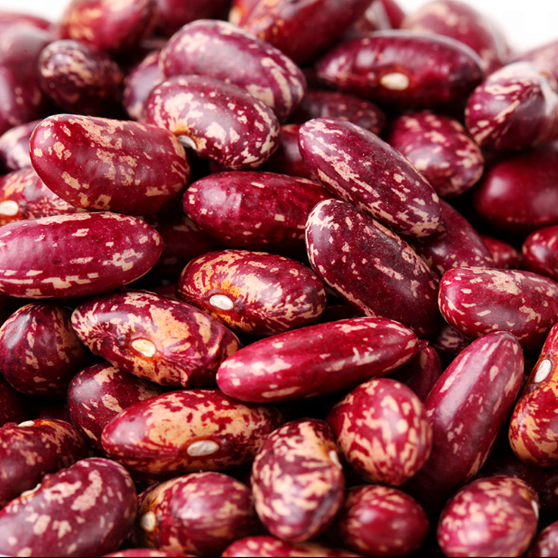 Wholesale Pinto Bean Red Speckled Kidney Beans for Sale