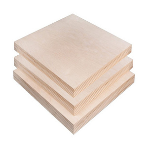 Custom Size 3 4 5 6 8 10 15mm  18 21 25mm Thickness Film Faced Bamboo Birch Plywood Board Sheet Price for Construction