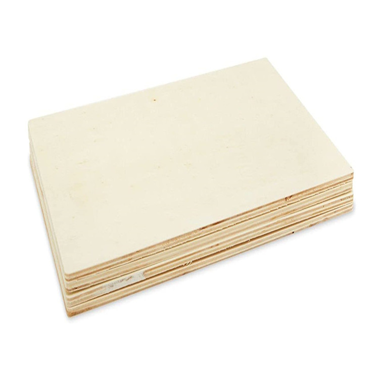 Custom Size 3 4 5 6 8 10 15mm  18 21 25mm Thickness Film Faced Bamboo Birch Plywood Board Sheet Price for Construction