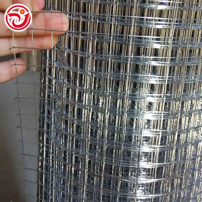 Airport Welded Wire Mesh Chicken Galvanized Welded Wire Mesh Panels