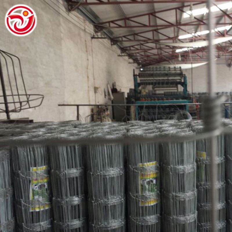 Cattle Fencing/Field Galvanized Wire Mesh Fence