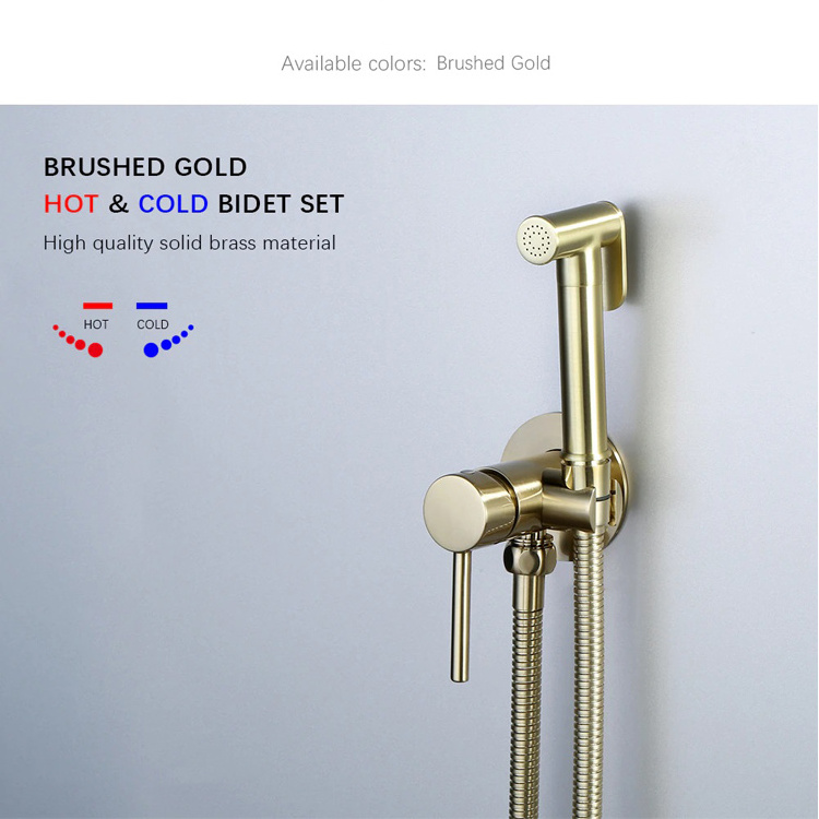 Brushed gold Brass Hand-held Wall-mounted Hybrid Hot And Cold Water With Stand Bathroom kitchen Toilet Faucet Bidet Sprayer