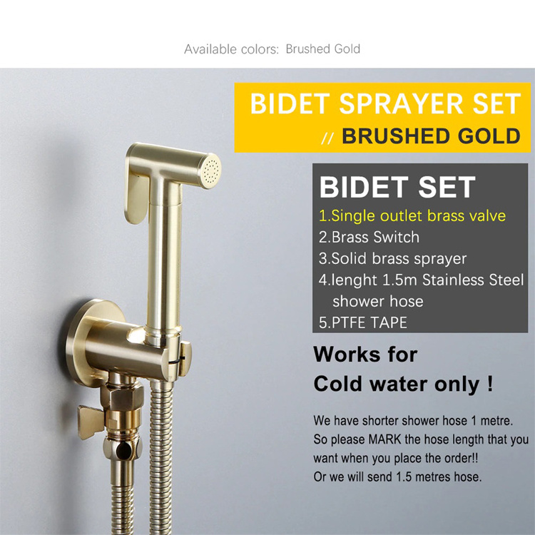 Brushed gold Brass Hand-held Wall-mounted Hybrid Hot And Cold Water With Stand Bathroom kitchen Toilet Faucet Bidet Sprayer