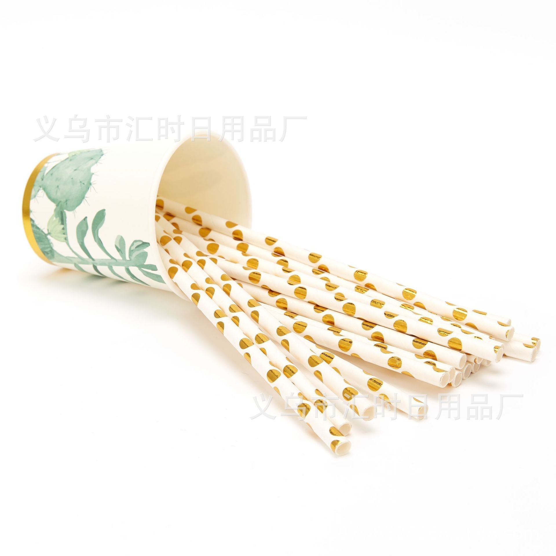 Eco friendly Biodegradable cactus Plates Disposable Paper Plate cup straw knife spoon fork birthday party tableware