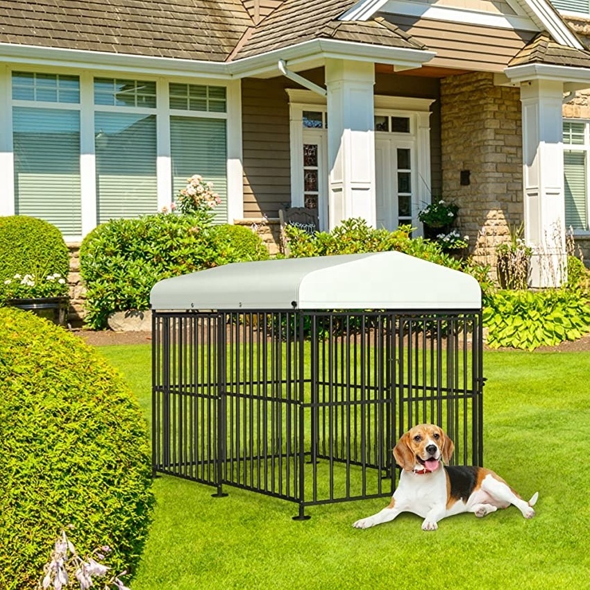 BSCI Wholesale Outdoor Dog Kennel with Roof Animal Cages Dog Walk in Pen XXXL Pet Run Enclosure Cage