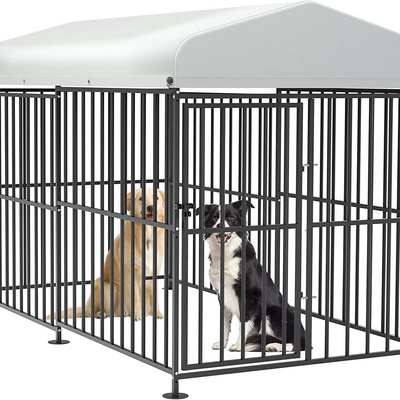 BSCI Wholesale Outdoor Dog Kennel with Roof Animal Cages Dog Walk in Pen XXXL Pet Run Enclosure Cage