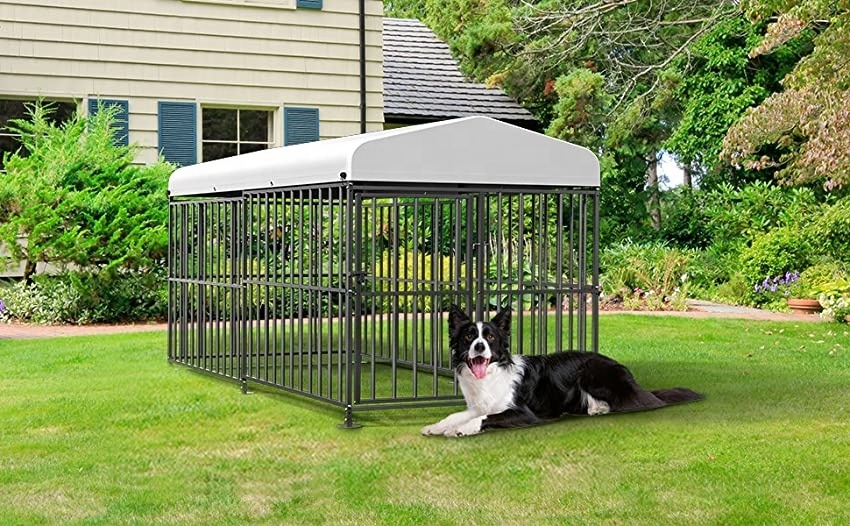 BSCI Wholesale Outdoor Dog Kennel with Roof Animal Cages Dog Walk in Pen XXXL Pet Run Enclosure Cage