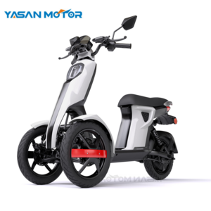 Luxury 3Wheels Itank Electric Motorcycle Doohan Electric Scooter