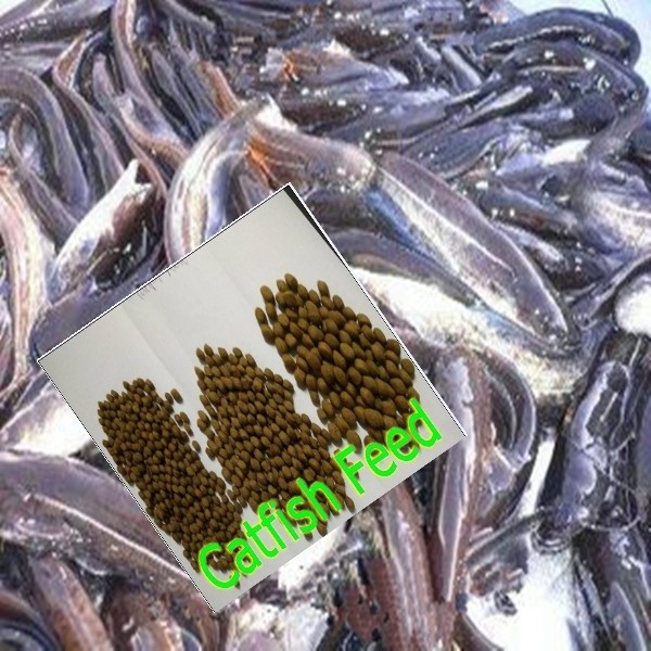 High quality catfish/ tilapia floating fish feed price for sale