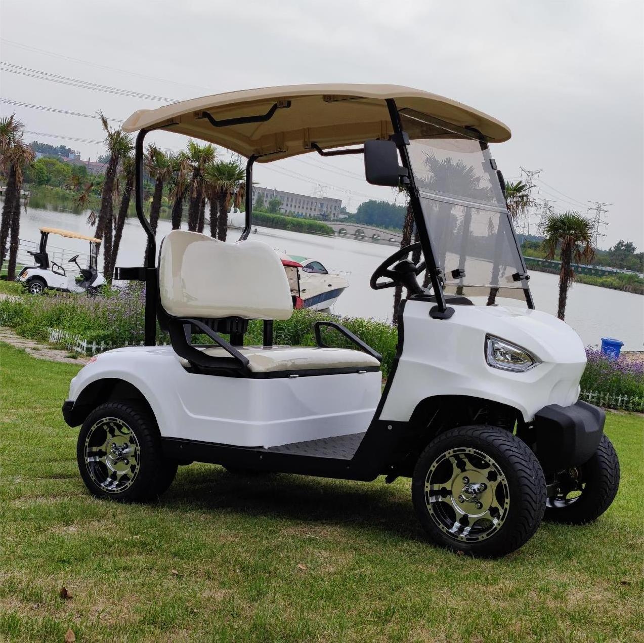 Cheap 8 passenger mini electric vintage golf carts for sale