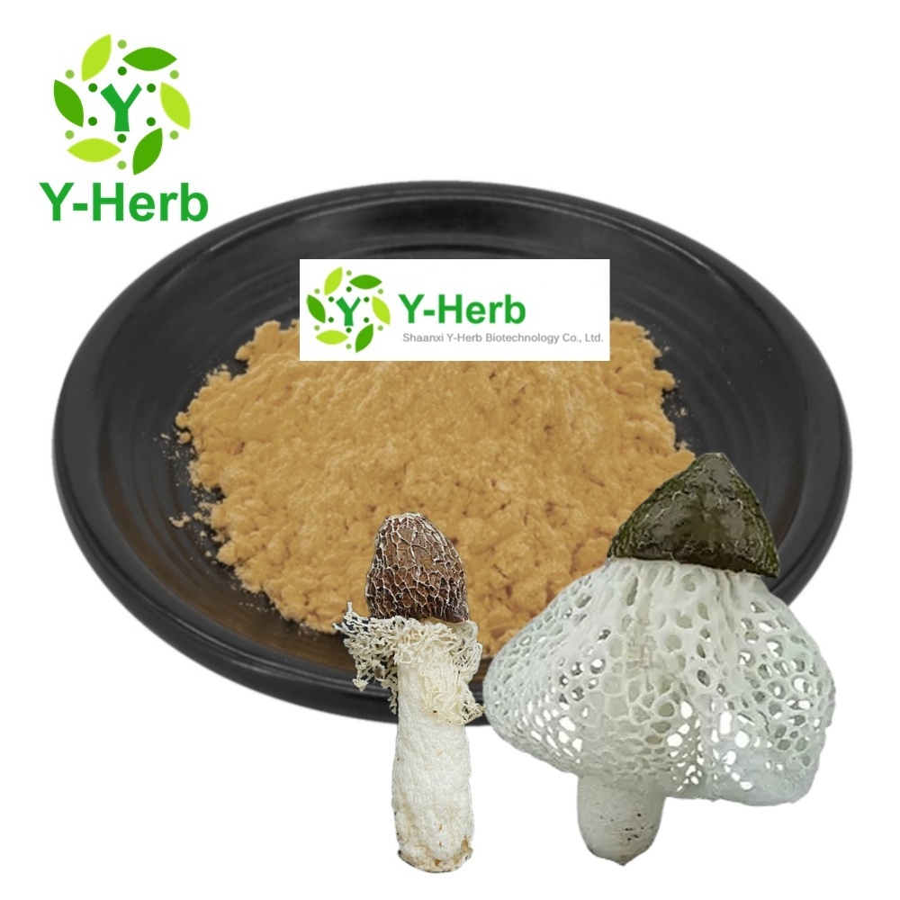 Dictyophora Indusiata Mushroom Extract Powder Polysaccharides 10%-50% Dictyophora Indusiata Extract