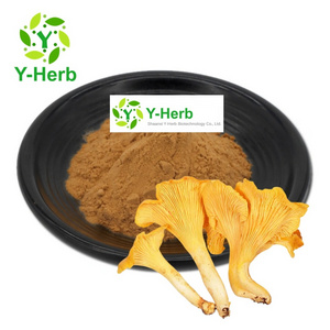 Cantharellus Cibarius P.E. Polysaccharides Powder 10% 30% 50% Ji You Jun/Cantharellus Cibarius/Chanterelle Mushroom Extract