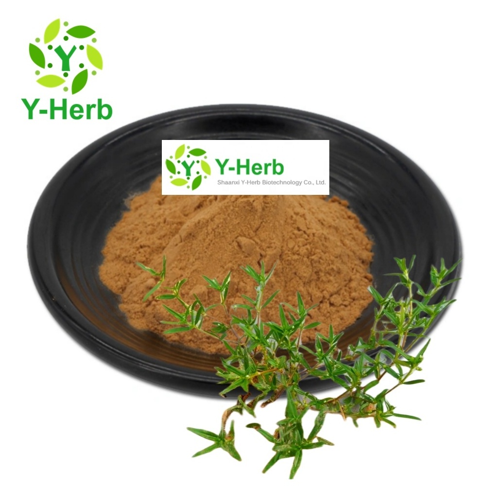 Hedyotisdiffusa P.E. Hedyotisdiffusa Extract Powder 10:1 Snake-needle Grass/Spreading Hedyotis Herb/Oldenlandia Diffusa Extract