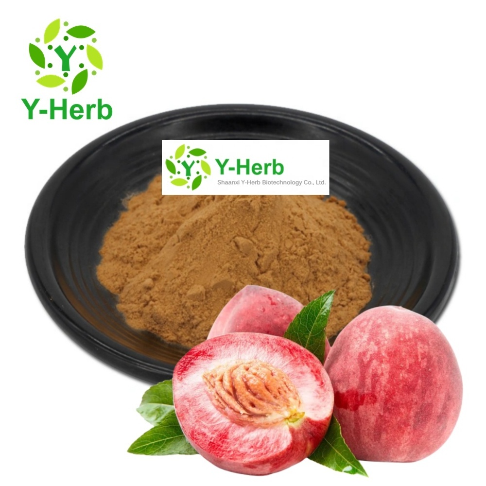 Bulk Peach Fruit Extract Powder Organic 10:1 Tao Zi/Prunus Persic/Peach Fruit Extract