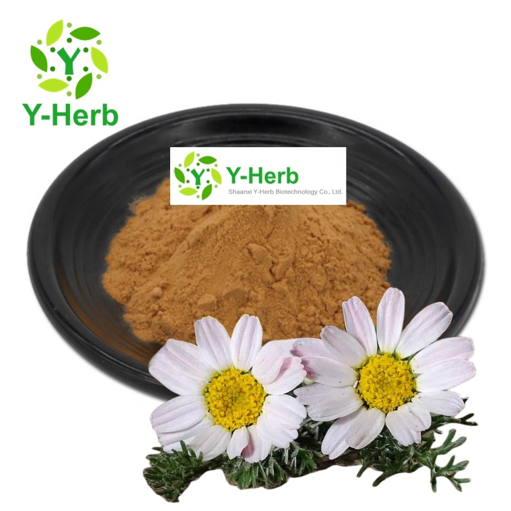 Natural Extract Pyrethrin Insecticide 25% 50% 70% Pyrethrum Insecticide Liquid/Oil 25% 50% 70% Pyrethrum Insecticide