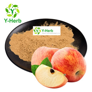 Dried Green Red Apple Fruit Fiber Powder/Bulk Apple Fiber Powder