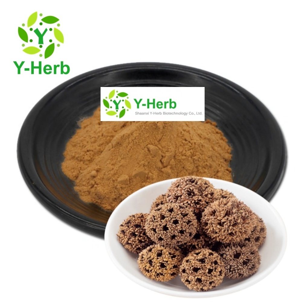 Fructus Liquidambaris P.E. Dried Lulutong Powder 10:1 Pyrola Herb Herba Pyrolae/Lu Lu Tong/Fructus Liquidambaris Extract Powder