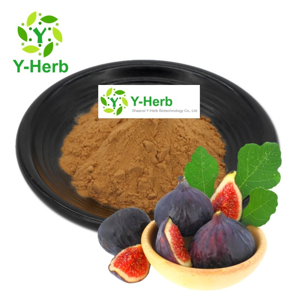 Ficus carica Linn. P.E. Ficin Dried Fig Powder 10:1 Wu Hua Guo/Ficus Carica/Fig Extract