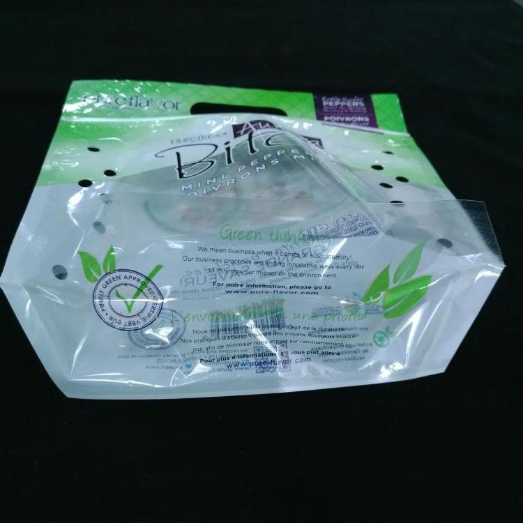 China factory anti-fog  Flat Bottom micro-perforated plastic bag for vegetable with breath hole