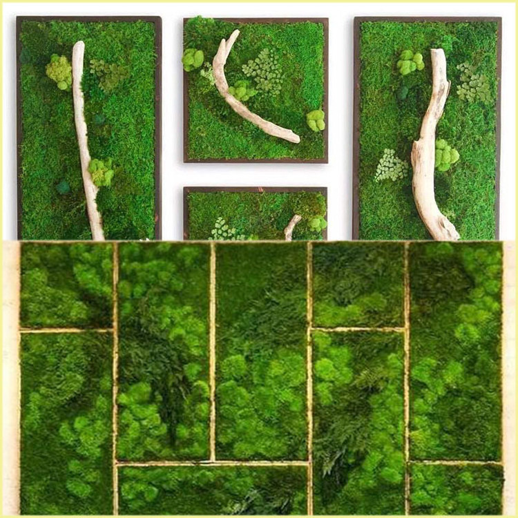 D051 Natural preserved moss wall panel indoor decorative Stabilized Preserved Pole Moss for home office decoration