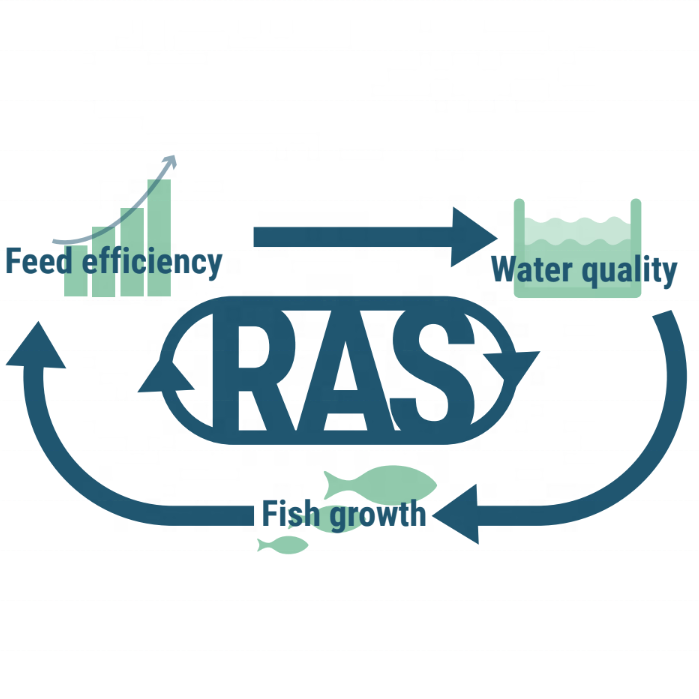 Salt water RAS indoor fish shrimp farming ,Ras indoor recirculating aquaculture system equipment