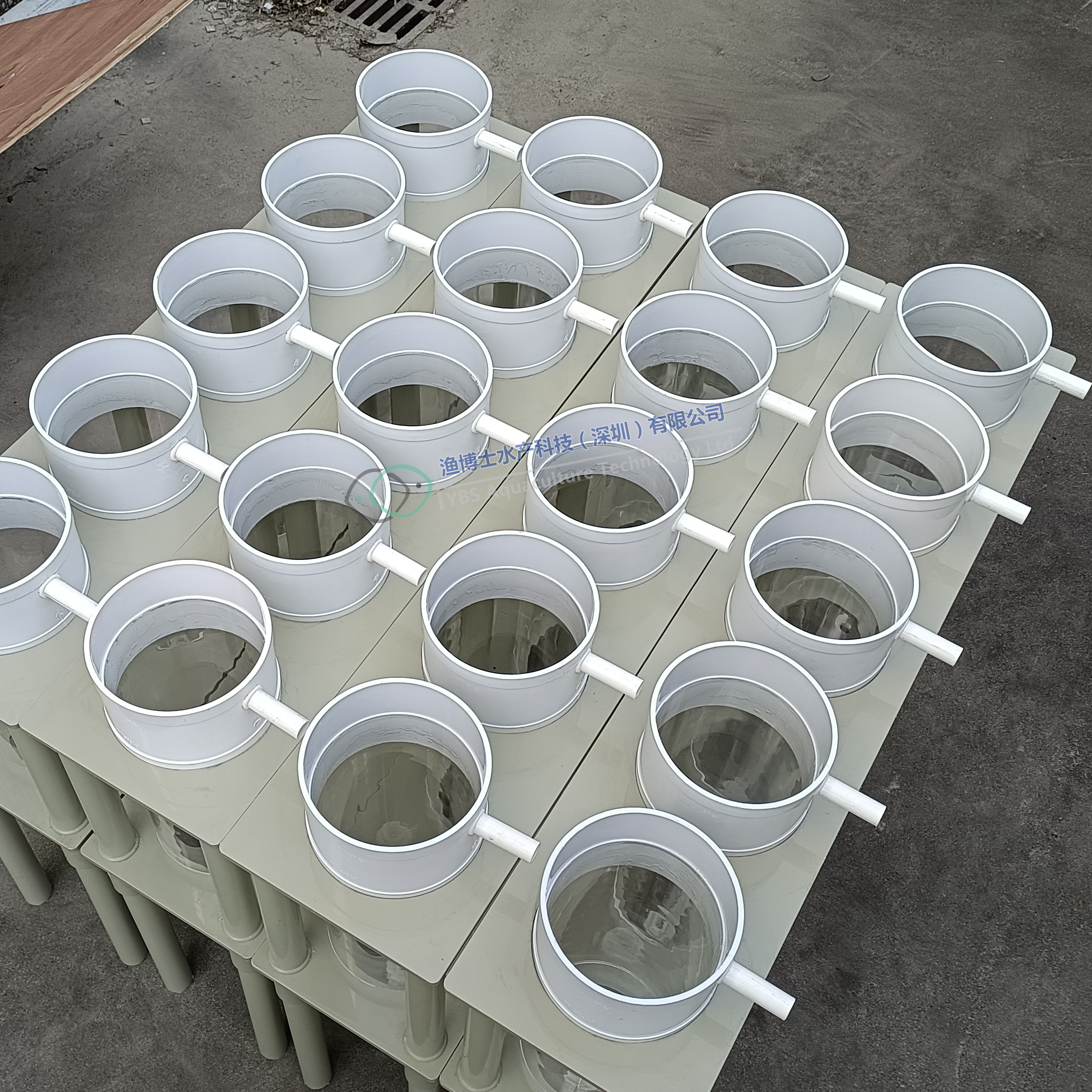 Aquaculture acrylic glass Tilapia mossambica Eggs Incubator  Fish Farm Incubator for Hatching Egg Fish