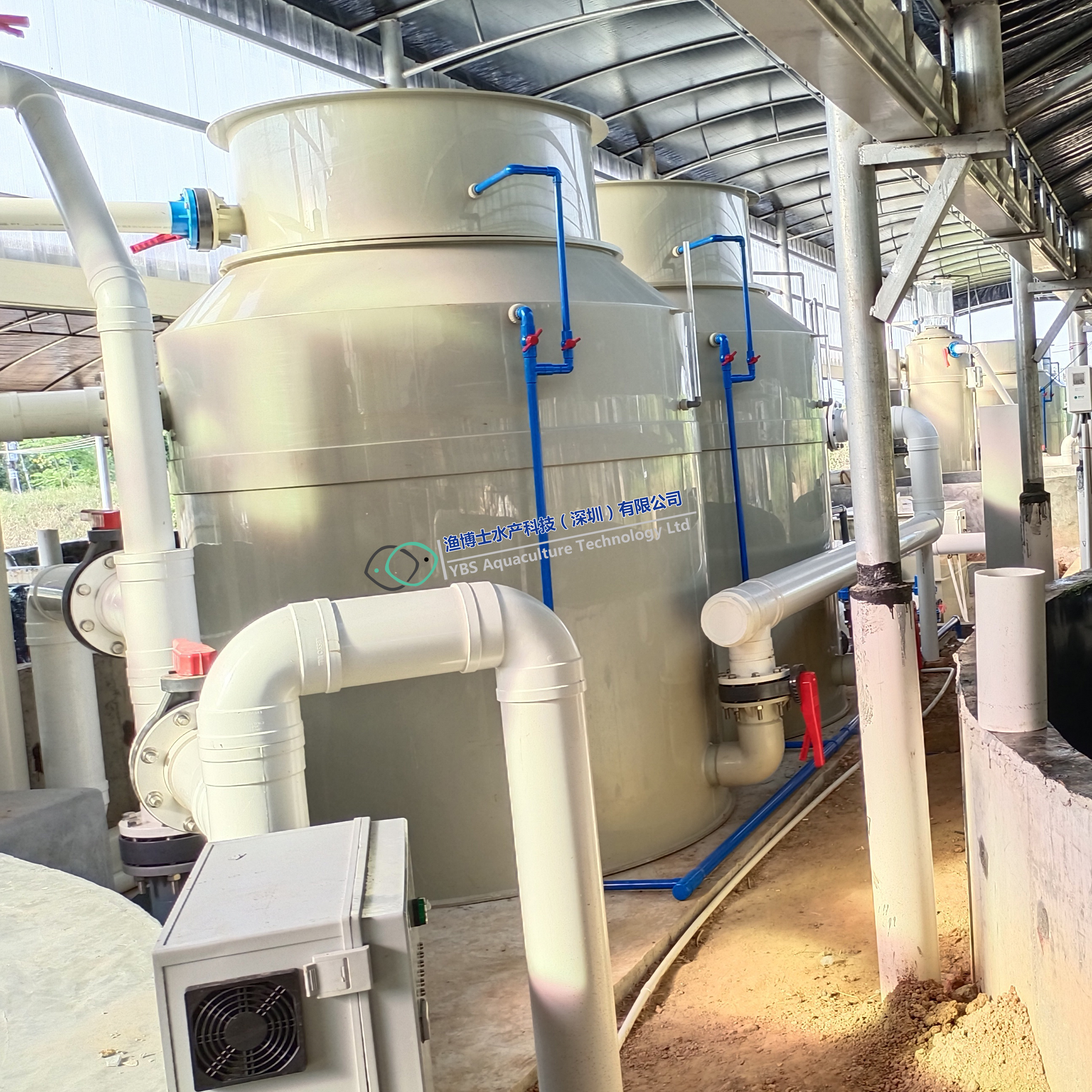 Shrimp aquaculture RAS recirculating aquaculture system indoor fish farming equipment for sale