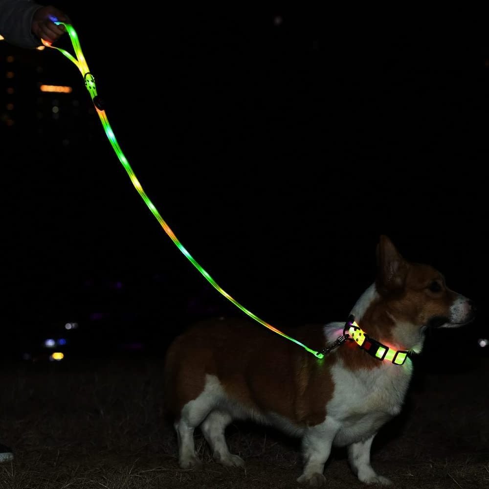 LED Light Up Dog Leash and Collar Waterproof USB Rechargeable Flashing Glow in the Dark Dog Leash with Luminous Flashlight