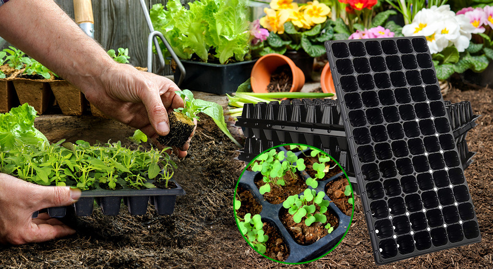 Large 200 Cells Reusable Black Plug Seed Tray Planting Starter Propagation Nursery Polystyrene Seedling Trays