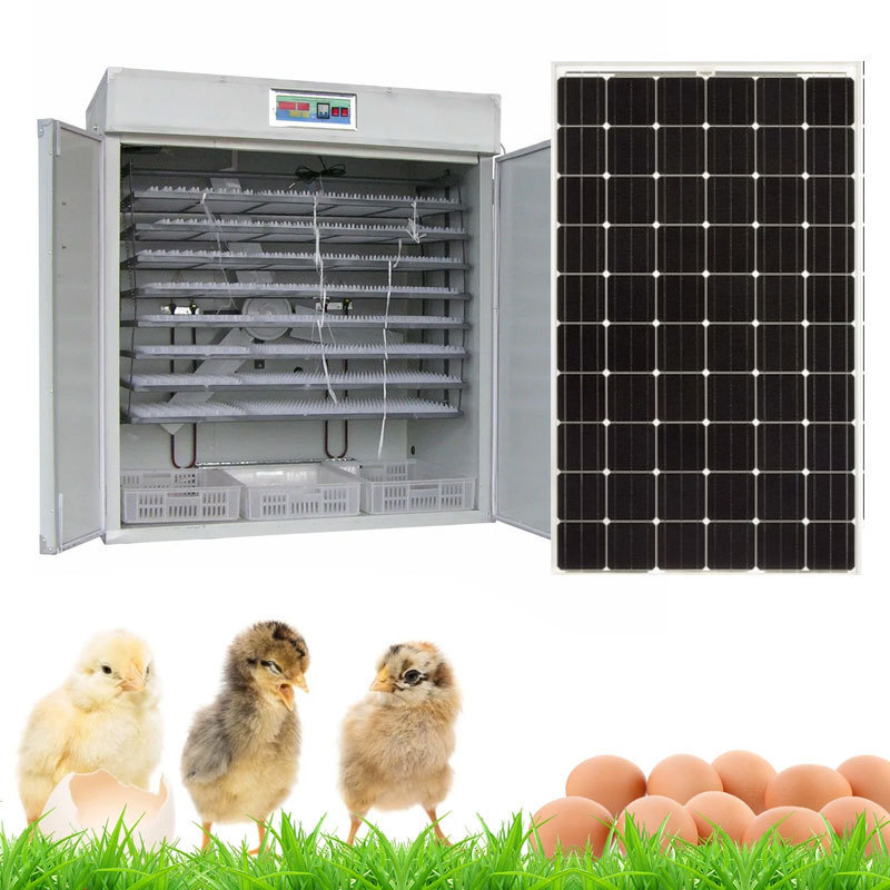 High quality Fully Automatic Solar Egg Incubators Hatching 12672  Eggs Hatchery Machine