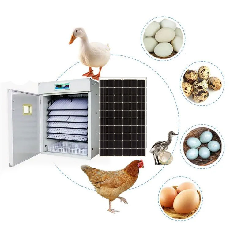 Full automatic 528 large chicken incubator hatching solar energy egg incubator solar powered commercial egg incubator for sale