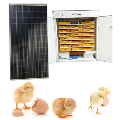 High quality Fully Automatic Solar Egg Incubators Hatching 12672  Eggs Hatchery Machine