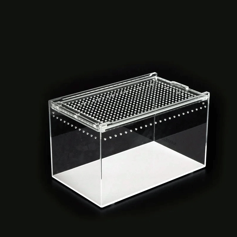 Escape-proof Plastic Reptile Display Cage Clear Acrylic Reptile Pet Feeding Box