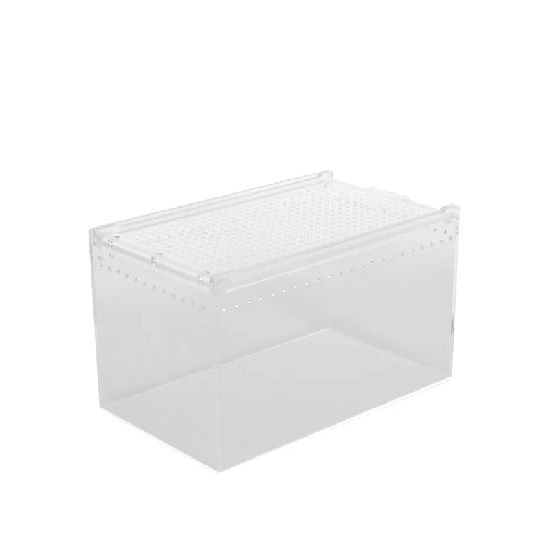 Escape-proof Plastic Reptile Display Cage Clear Acrylic Reptile Pet Feeding Box