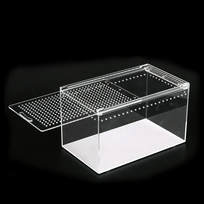 Escape-proof Plastic Reptile Display Cage Clear Acrylic Reptile Pet Feeding Box