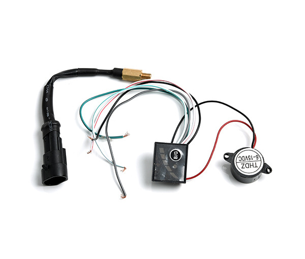 Cng Lpg Auto Gas Kit Ecu 3d Power Conversion Kits For Alternative Fuel System For 6cylinder